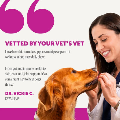 Multivitamin 10-in-1 Chews for Dogs (Chicken Flavor)