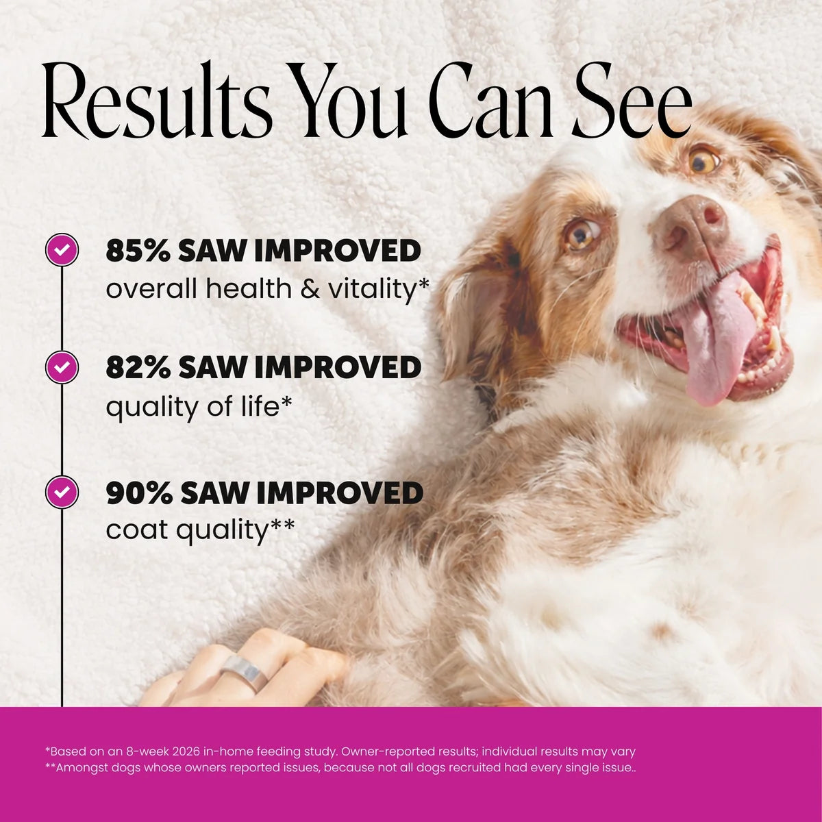 Multivitamin 10-in-1 Chews for Dogs (Chicken Flavor)
